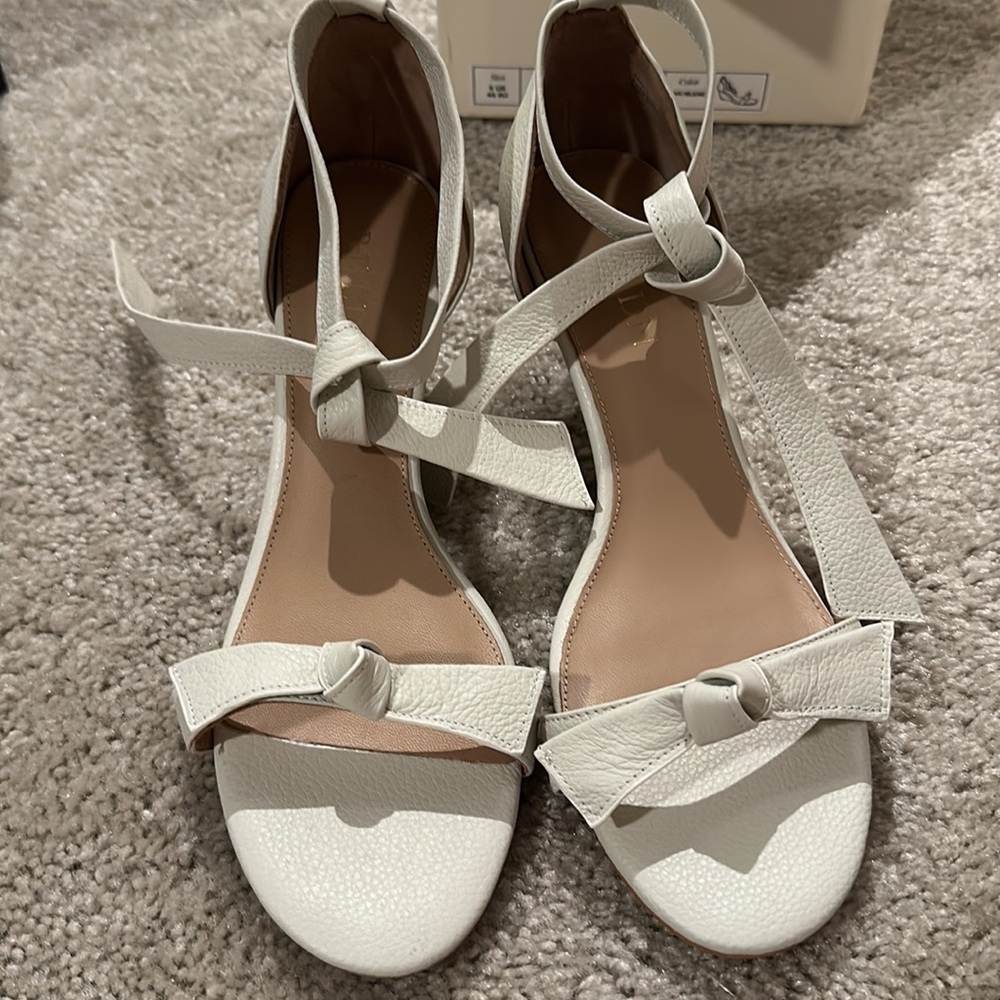 NWT BHLDN Wedge Sandals
